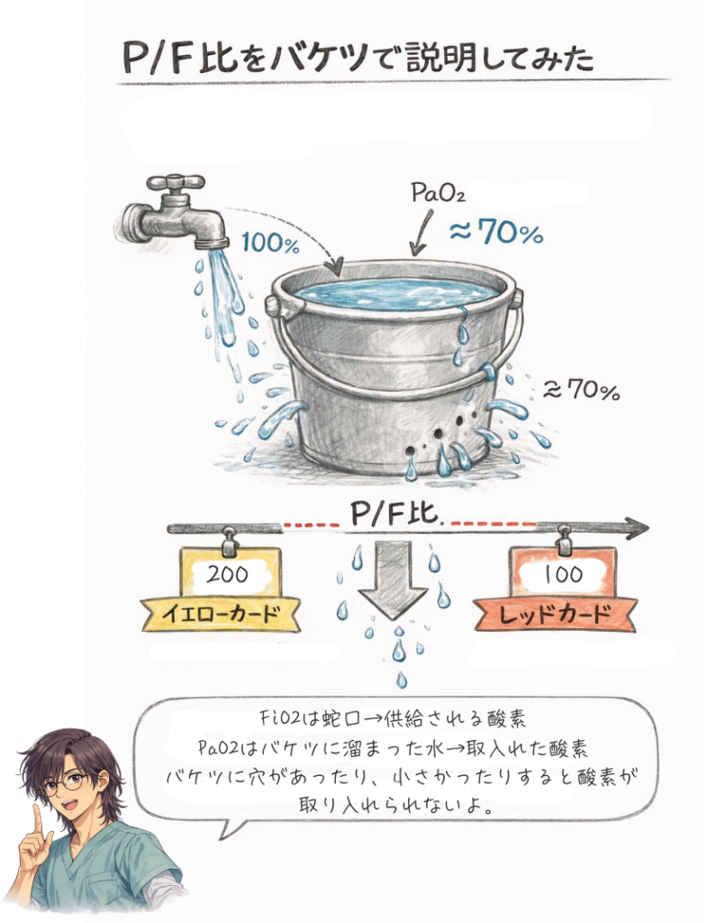 P:F比をバケツと水を使って解説