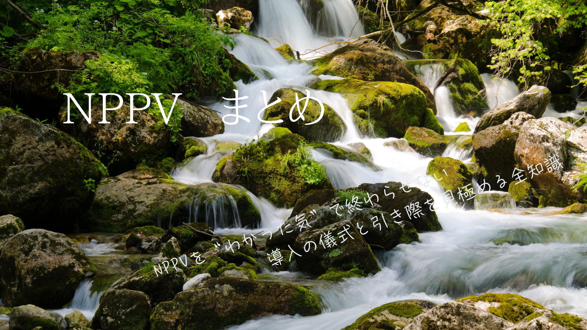 NPPVまとめ｜設定の根拠から導入のコツ、P-SILI対策まで徹底解説
